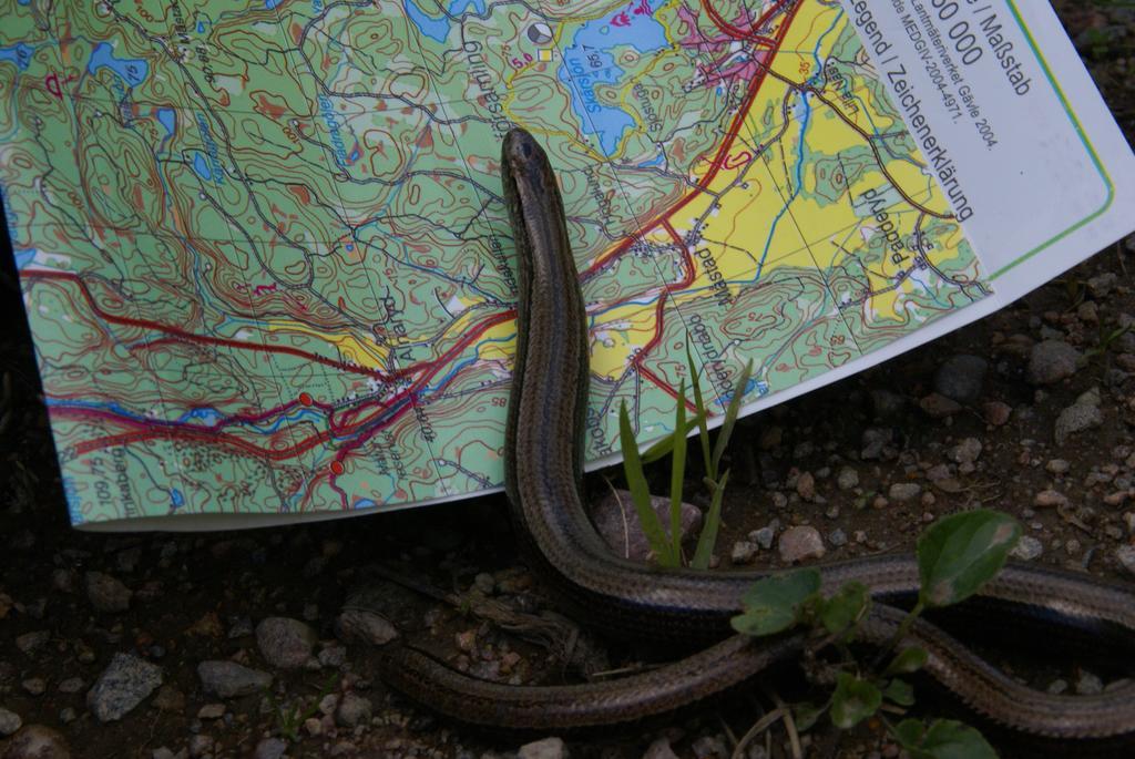 Willa Roeksvamp 3 Vastra Stensjo Zewnętrze zdjęcie